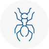 Ant Removals In Fulham