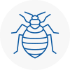 Bed Bug Extermination In Fulham
