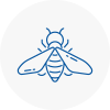 Bee Nest Removal Fulham