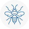 Fulham Hornet Nest Removals