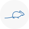 Mice Exterminators In Fulham