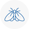 Moth Control Specialists In Fulham
