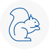 Fulham Rodent Removals