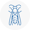 Fulham Wasp Nest Removal